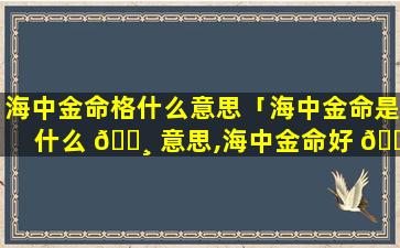 海中金命格什么意思「海中金命是什么 🕸 意思,海中金命好 🐎 不好」